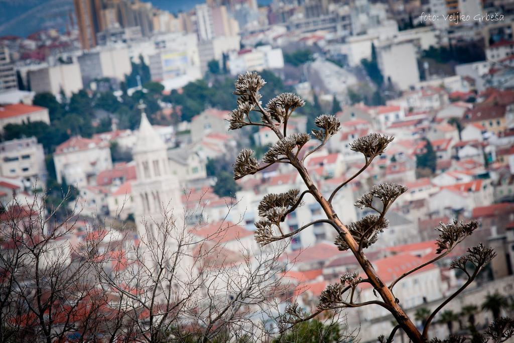 Apartment Genius Loci Σπλιτ Εξωτερικό φωτογραφία